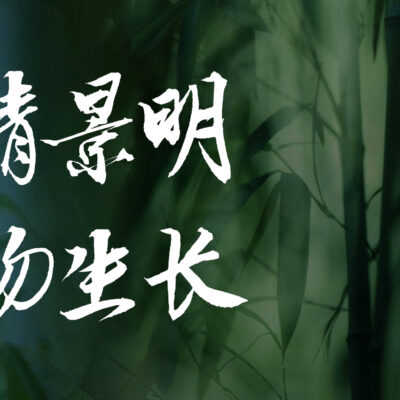 清明时节，解锁春日万千妙趣