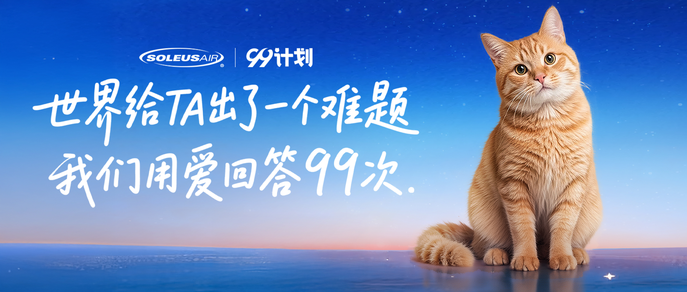 以爱为名,温暖同行:舒乐氏99计划与它们的重生故事